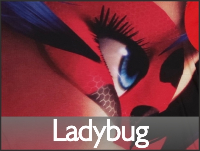 Link zur Onlineshop-Kategorie mit Ladybug Bekleidung und Spielwaren