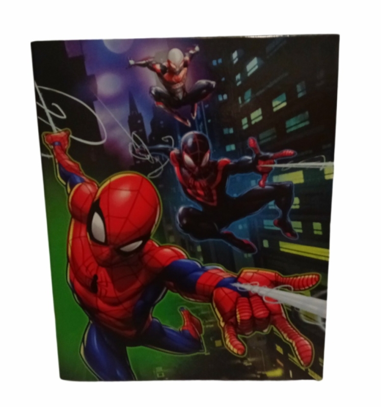 Spiderman Ordner A4