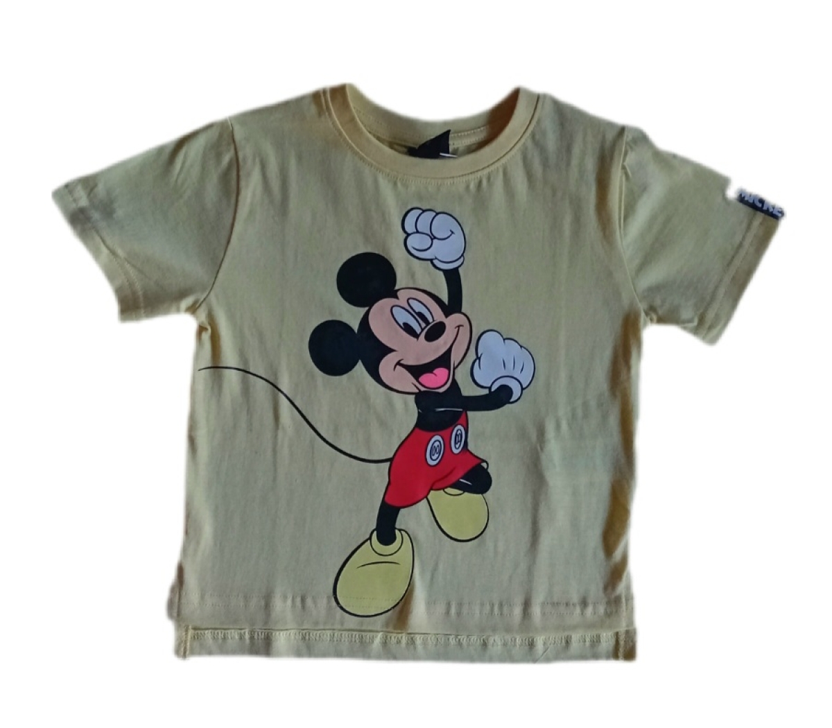 Mickey Shirt