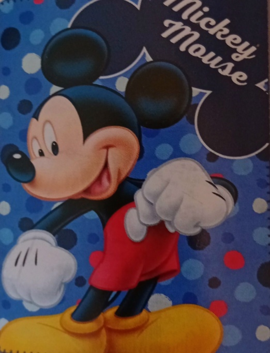 Mickey Mouse Fleecedecke