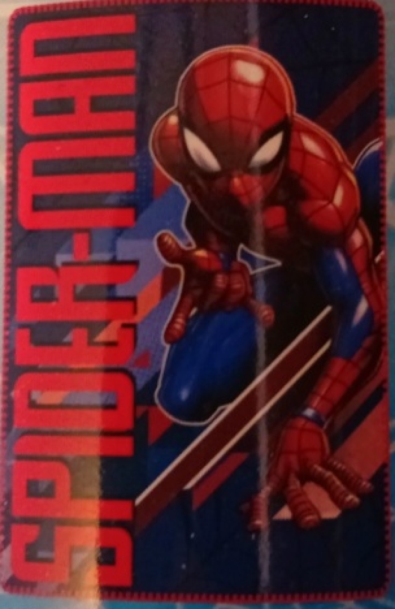 Spiderman Fleecedecke